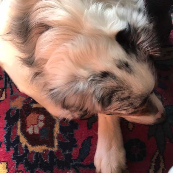 Meet your Posher, Stephanie - Picture 1 of 1